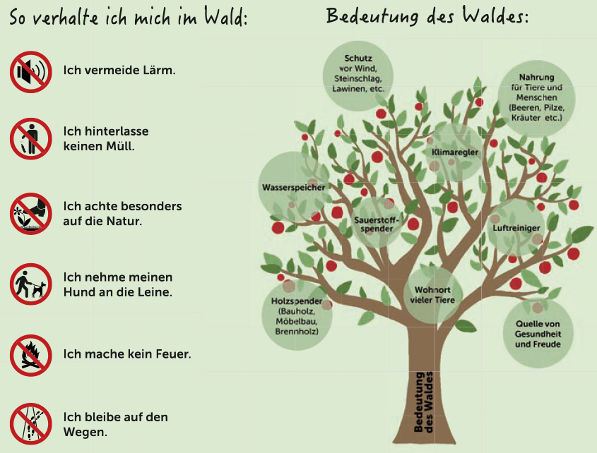 Verhalten im Wald